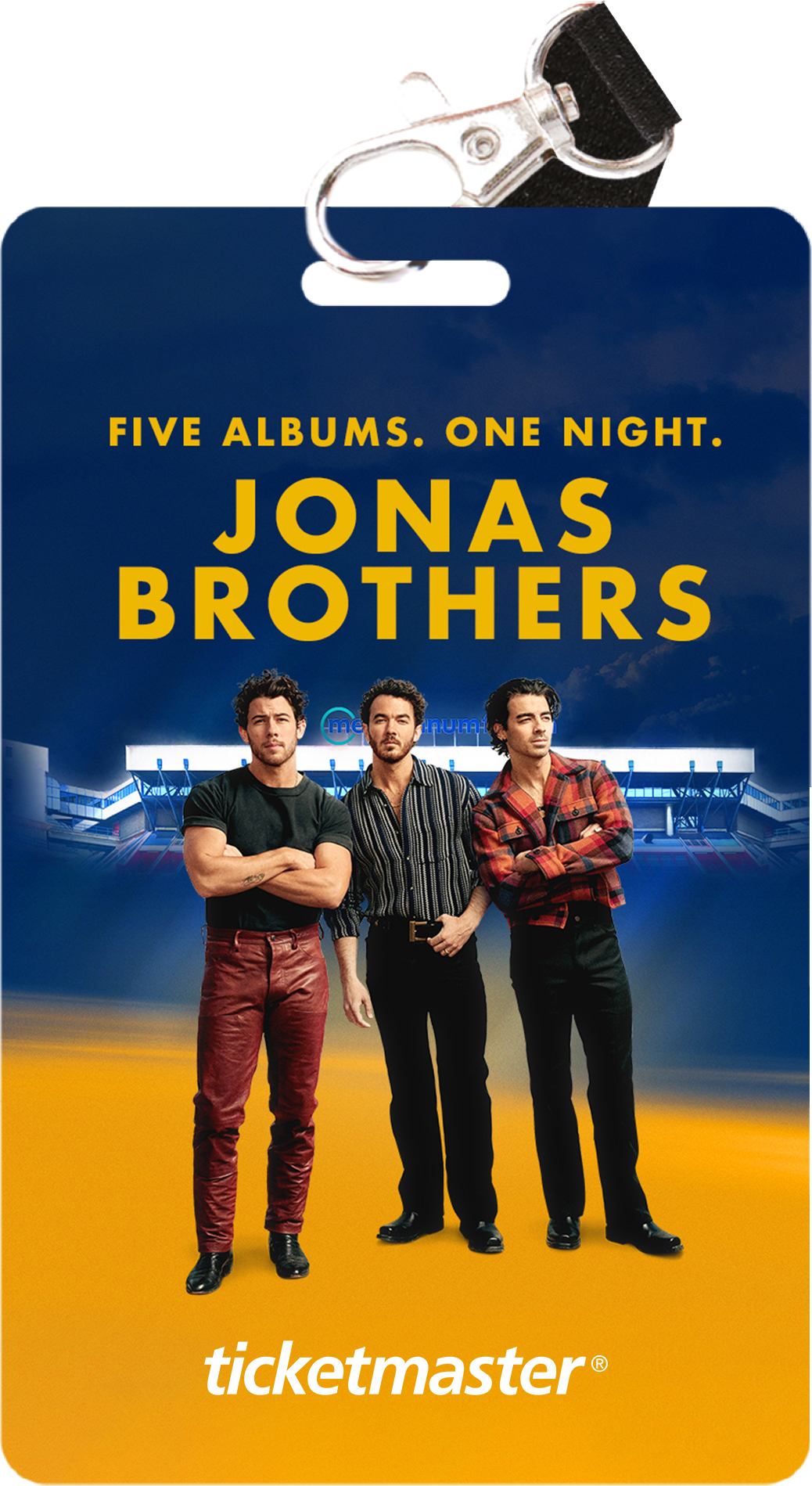 Collector-Ticket_Jonas-Brothers.jpg